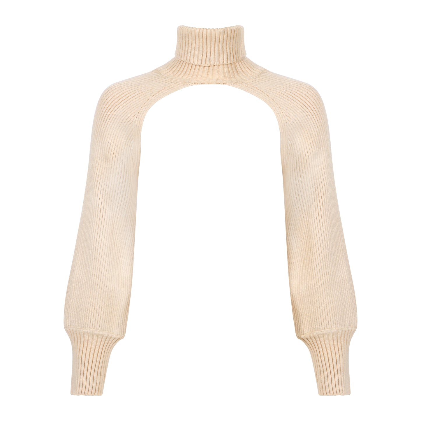 The Minimal Mesha Turtleneck Super Crop Sweater